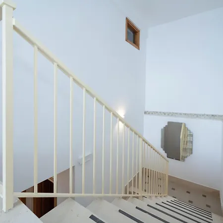 Rosy By Wonder Tour *